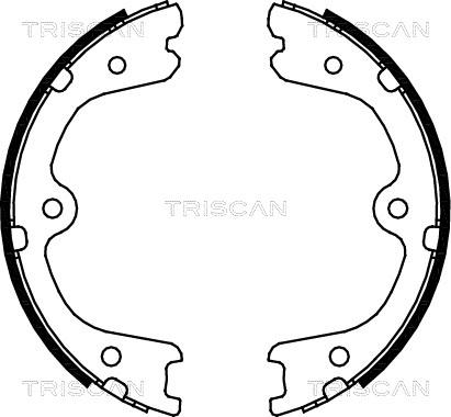 Triscan 8100 14008 - Kit ganasce, Freno stazionamento autozon.pro