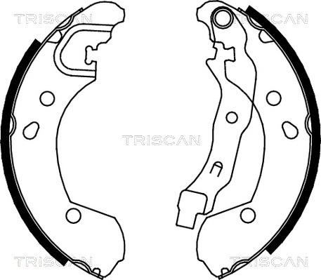 Triscan 8100 14002 - Kit ganasce freno autozon.pro