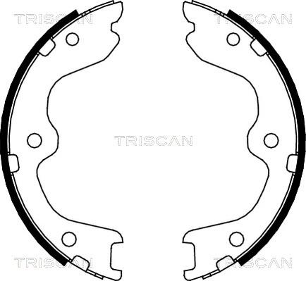 Triscan 8100 14010 - Kit ganasce freno autozon.pro