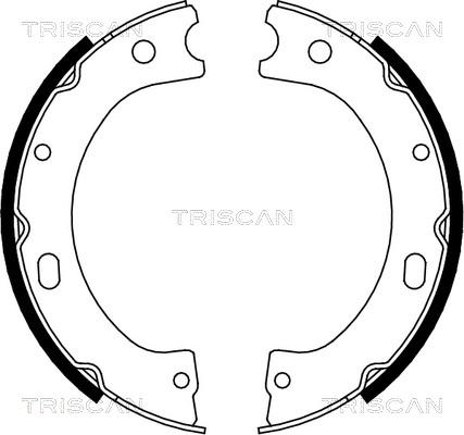 Triscan 8100 14011 - Kit ganasce freno autozon.pro