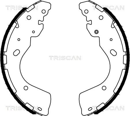 Triscan 8100 14012 - Kit ganasce freno autozon.pro