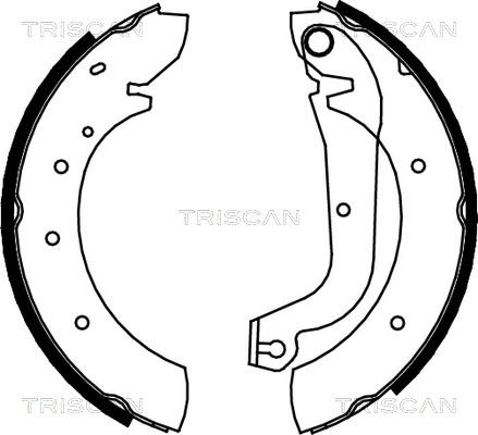 Triscan 8100 15480 - Kit ganasce freno autozon.pro