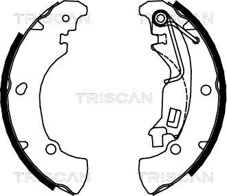 Triscan 8100 15017 - Kit ganasce freno autozon.pro