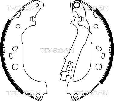 Triscan 8100 15021 - Kit ganasce freno autozon.pro