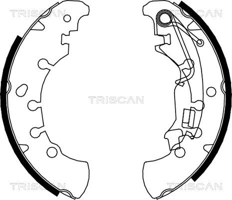 Triscan 8100 15023 - Kit ganasce freno autozon.pro