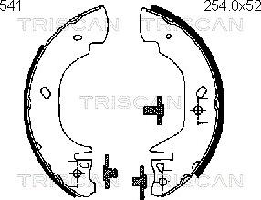 Triscan 8100 16541 - Kit ganasce freno autozon.pro