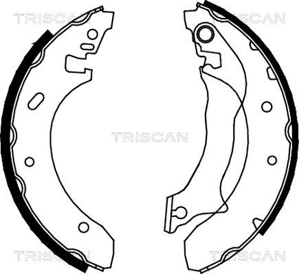 Triscan 8100 16559 - Kit ganasce freno autozon.pro