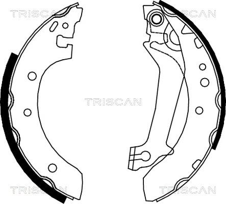 Triscan 8100 16587 - Kit ganasce freno autozon.pro