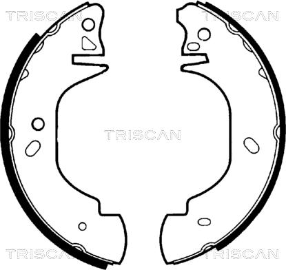 Triscan 8100 16570 - Kit ganasce freno autozon.pro