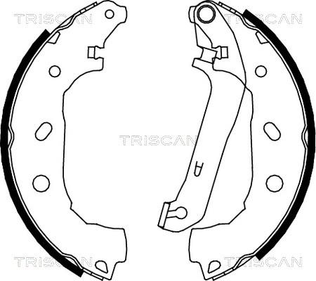 Triscan 8100 16009 - Kit ganasce freno autozon.pro