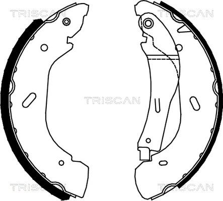 Triscan 8100 16005 - Kit ganasce freno autozon.pro