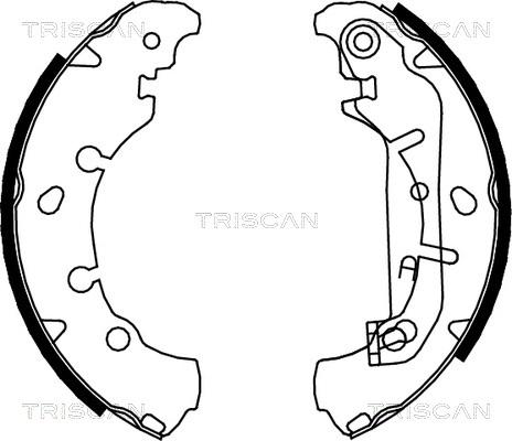 Triscan 8100 16006 - Kit ganasce freno autozon.pro