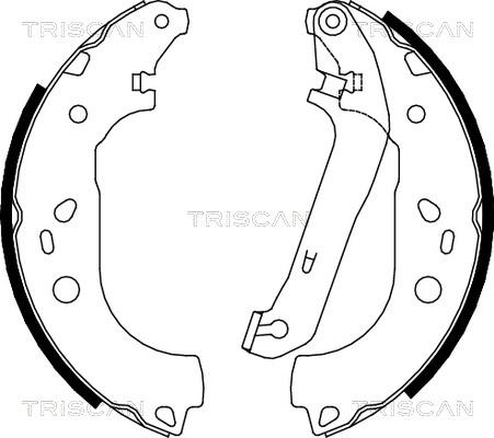 Triscan 8100 16011 - Kit ganasce freno autozon.pro