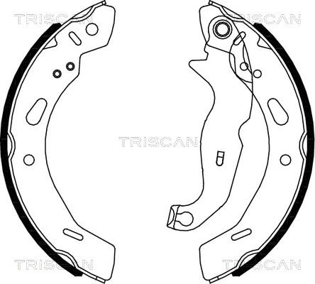 Triscan 8100 16013 - Kit ganasce freno autozon.pro