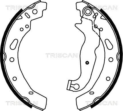 Triscan 8100 16012 - Kit ganasce freno autozon.pro