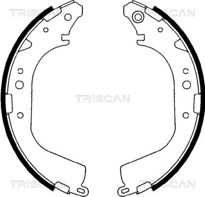 Triscan 8100 10425 - Kit ganasce freno autozon.pro