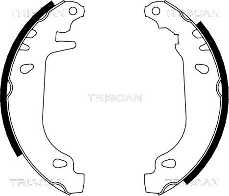 Triscan 8100 10545 - Kit ganasce freno autozon.pro