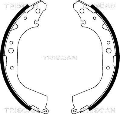 Triscan 8100 10519 - Kit ganasce freno autozon.pro