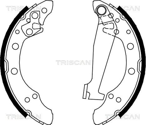 Triscan 8100 10520 - Kit ganasce freno autozon.pro