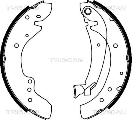 Triscan 8100 10573 - Kit ganasce freno autozon.pro