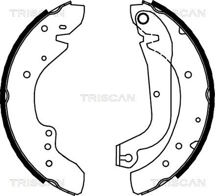 Triscan 8100 10577 - Kit ganasce freno autozon.pro