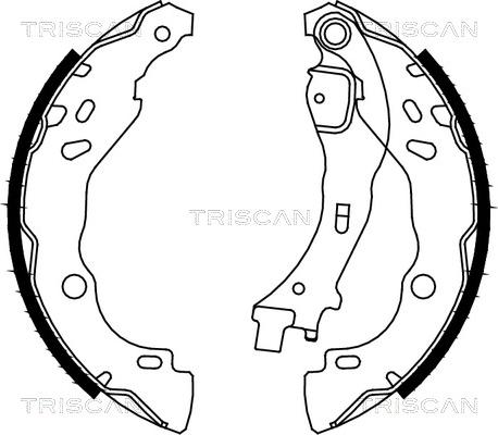 Triscan 8100 10009 - Kit ganasce freno autozon.pro