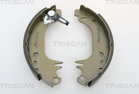 Triscan 8100 10006 - Kit ganasce freno autozon.pro