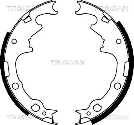 Triscan 8100 10001 - Kit ganasce freno autozon.pro