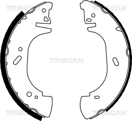 Triscan 8100 10002 - Kit ganasce freno autozon.pro