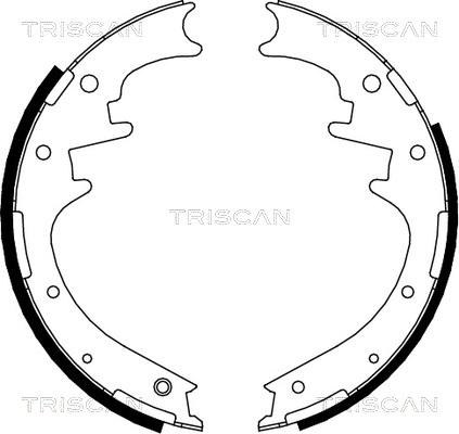 Triscan 8100 10016 - Kit ganasce freno autozon.pro