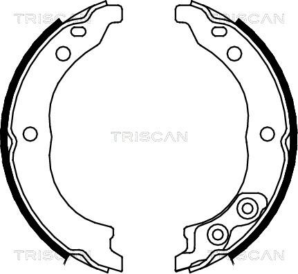 Triscan 8100 10010 - Kit ganasce, Freno stazionamento autozon.pro