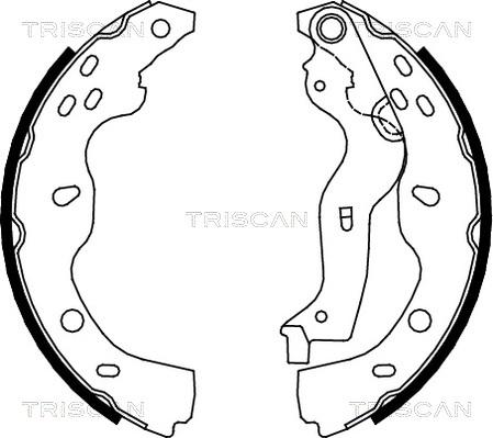 Triscan 8100 10013 - Kit ganasce freno autozon.pro