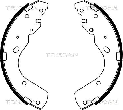 Triscan 8100 10017 - Kit ganasce freno autozon.pro