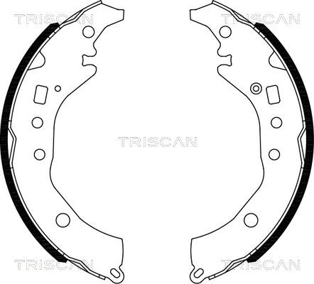 Triscan 8100 10039 - Kit ganasce freno autozon.pro