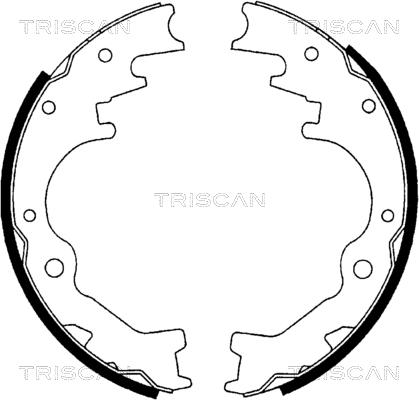 Triscan 8100 10035 - Kit ganasce freno autozon.pro