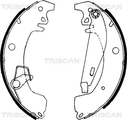 Triscan 8100 10031 - Kit ganasce freno autozon.pro