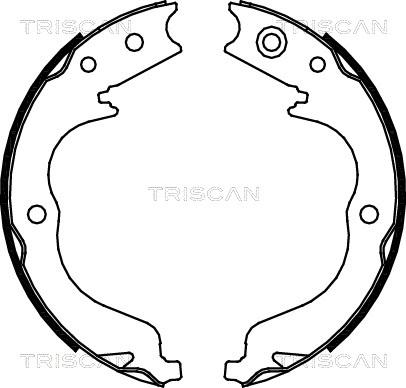 Triscan 8100 10029 - Kit ganasce freno autozon.pro