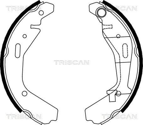 Triscan 8100 10024 - Kit ganasce freno autozon.pro