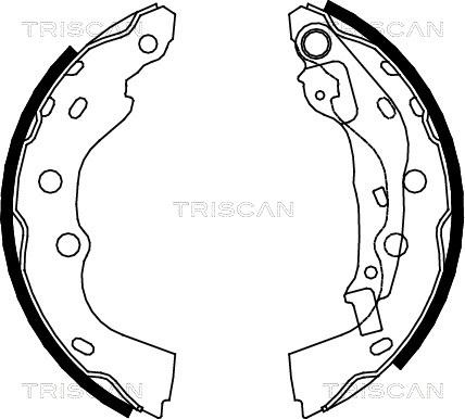 Triscan 8100 10025 - Kit ganasce freno autozon.pro