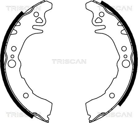 Triscan 8100 10026 - Kit ganasce freno autozon.pro