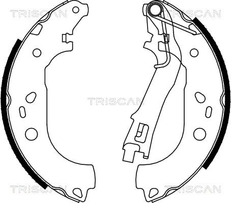 Triscan 8100 10028 - Kit ganasce freno autozon.pro