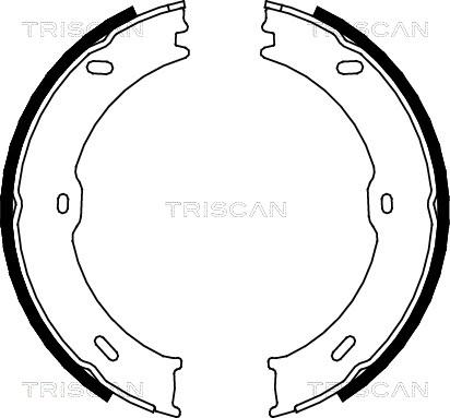 Triscan 8100 10023 - Kit ganasce freno autozon.pro