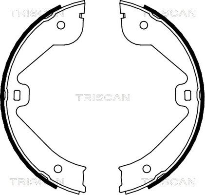 Triscan 8100 10022 - Kit ganasce freno autozon.pro