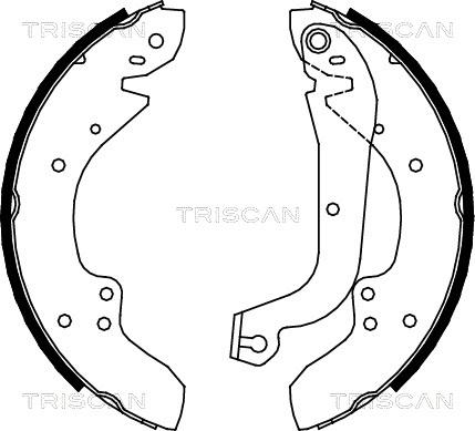 Triscan 8100 10374 - Kit ganasce freno autozon.pro