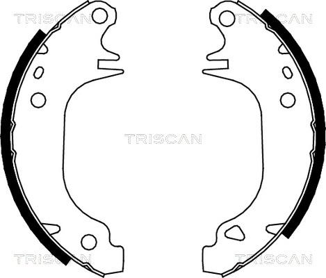 Triscan 8100 10372 - Kit ganasce freno autozon.pro