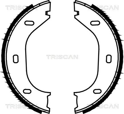 Triscan 8100 10290 - Kit ganasce, Freno stazionamento autozon.pro