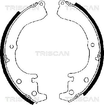 Triscan 8100 10216 - Kit ganasce freno autozon.pro