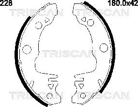 Triscan 8100 10228 - Kit ganasce freno autozon.pro