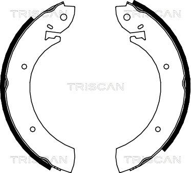 Triscan 8100 10272 - Kit ganasce freno autozon.pro