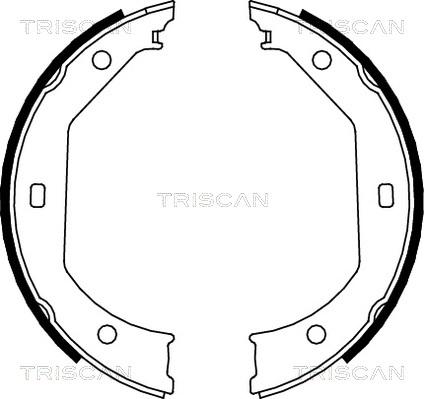 Triscan 8100 11638 - Kit ganasce freno autozon.pro